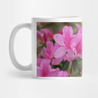 Smiling Azalea Mug